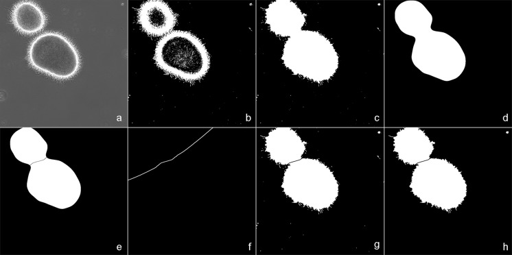 Fig. 1