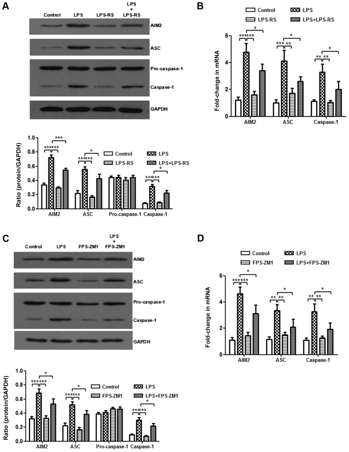 Figure 6