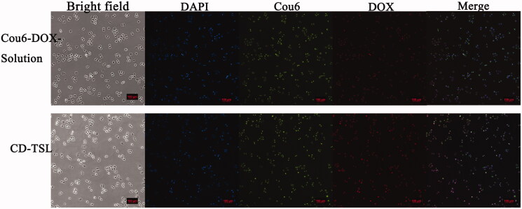 Figure 6.