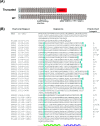 Figure 2—figure supplement 2.