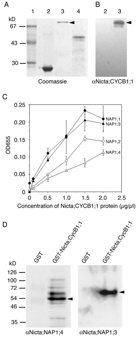 Figure 3.