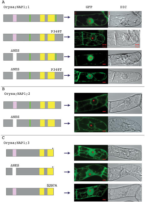 Figure 6.