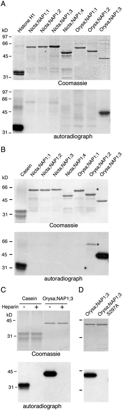 Figure 7.