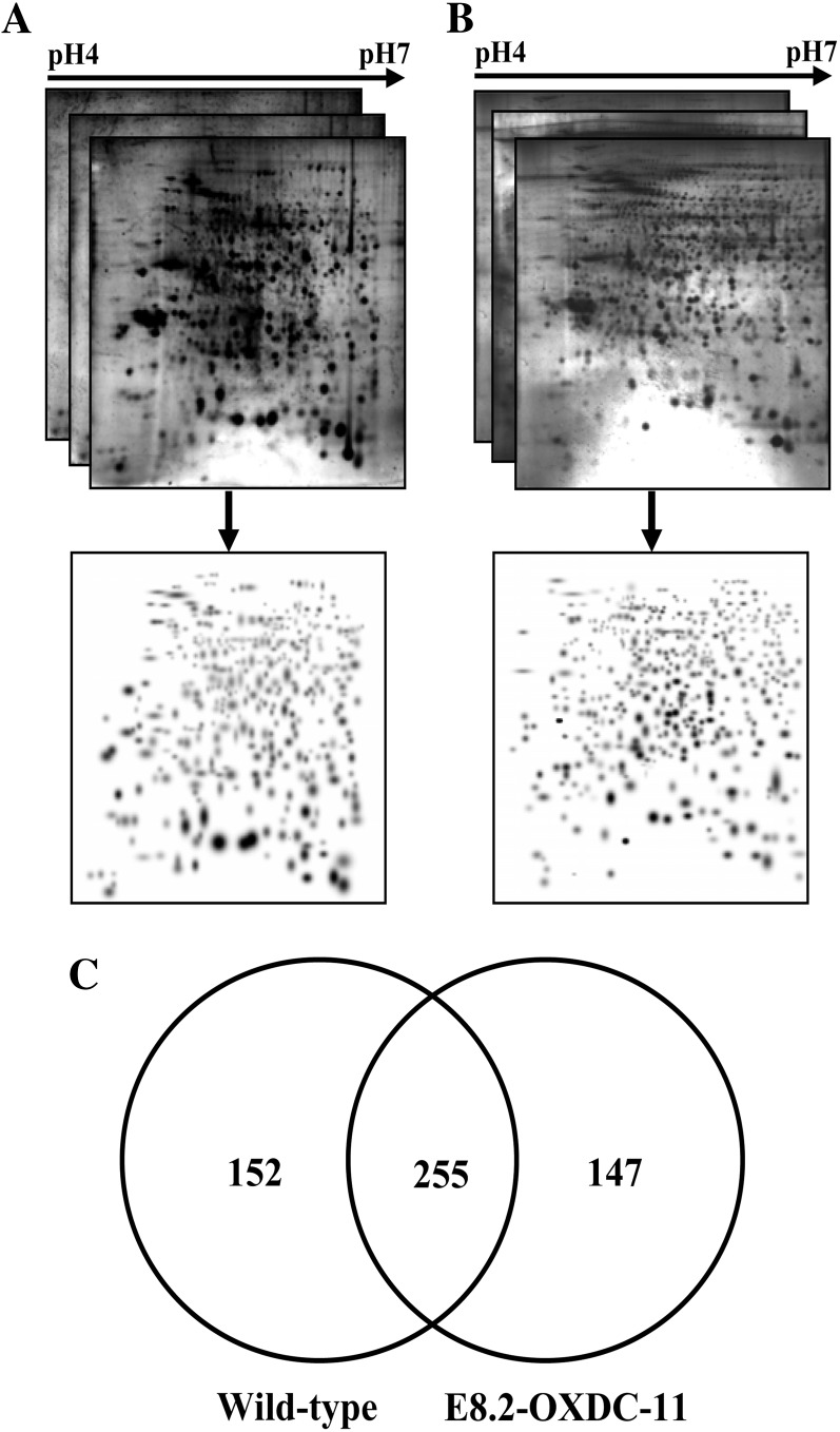 Figure 6.