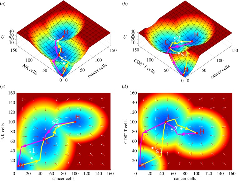 Figure 3.