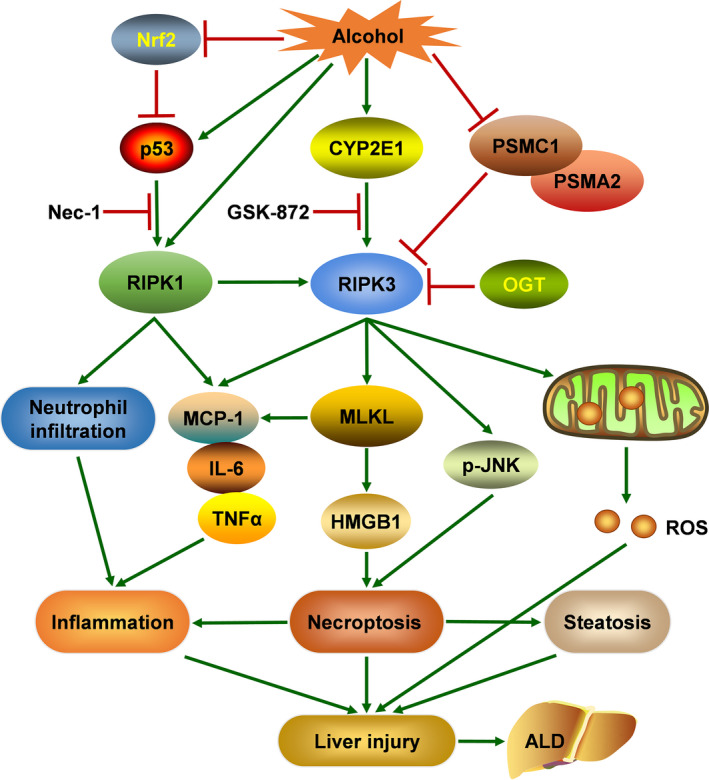 FIGURE 2