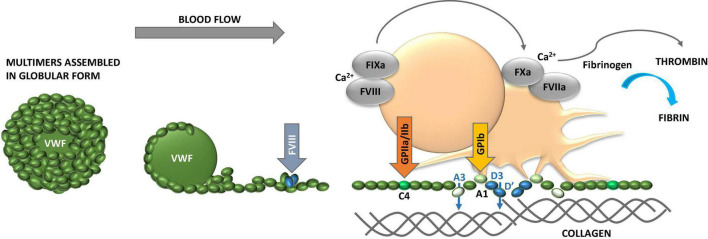 FIGURE 2