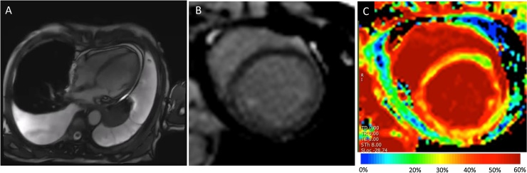 Fig. 2