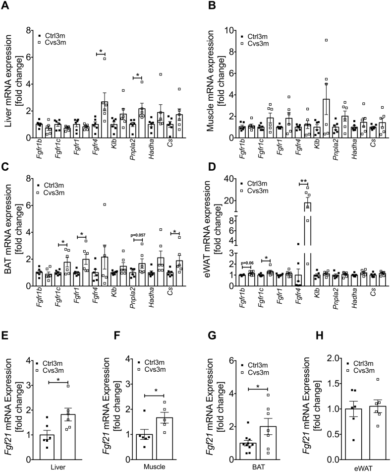 Figure 6