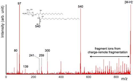 Figure 5