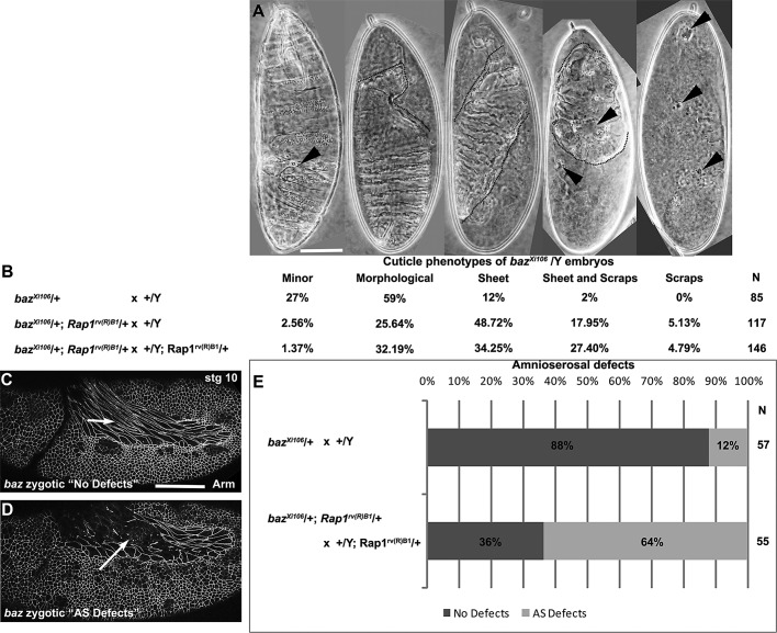 FIGURE 3: