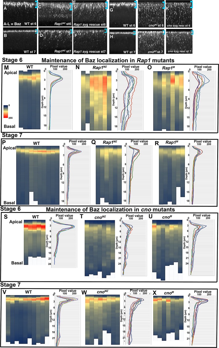 FIGURE 6: