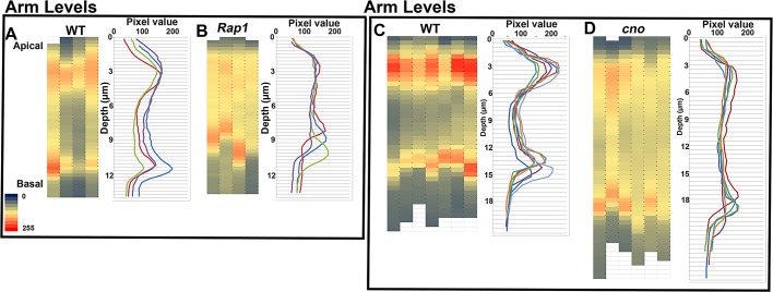 FIGURE 2: