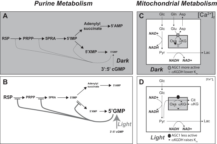 FIGURE 12.