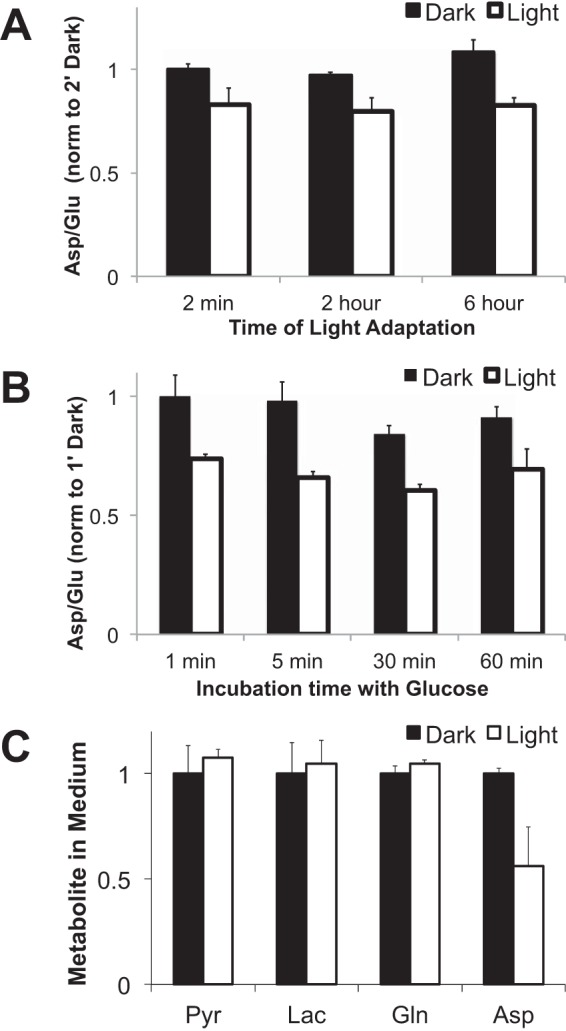 FIGURE 11.