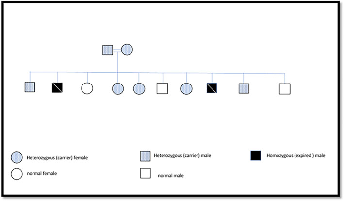 FIGURE 3