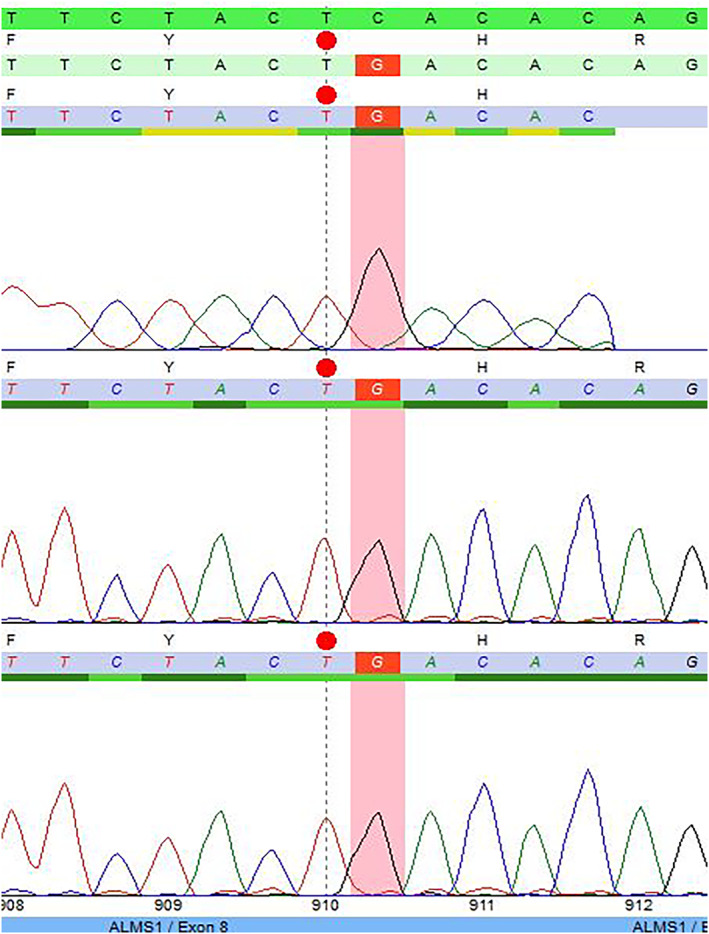 FIGURE 2