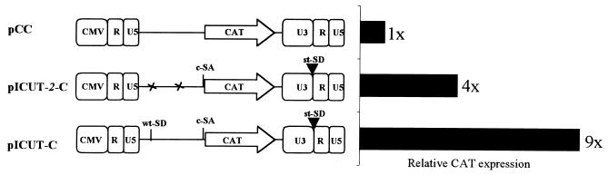 FIG. 6