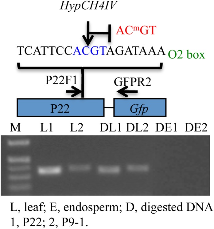 Figure 10 