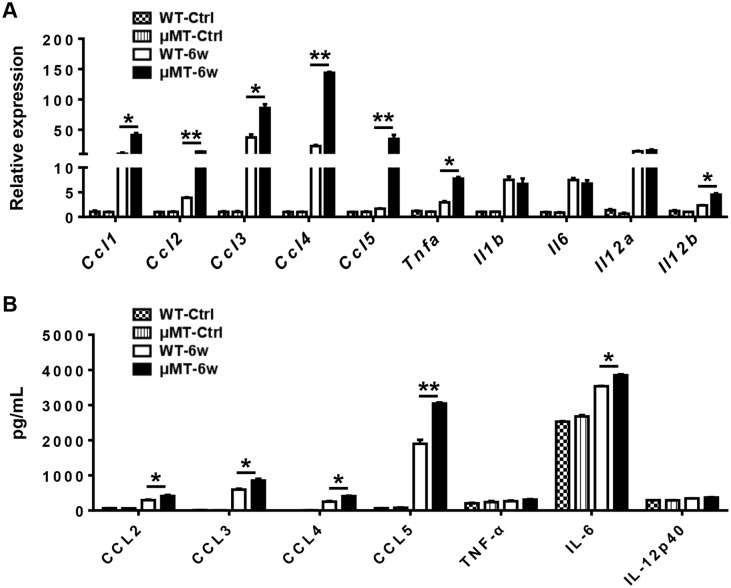 Fig 4