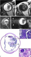 Fig 1.