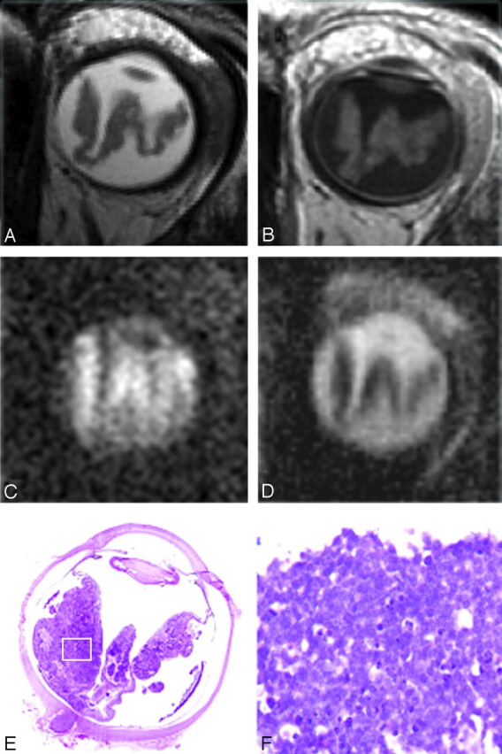 Fig 2.