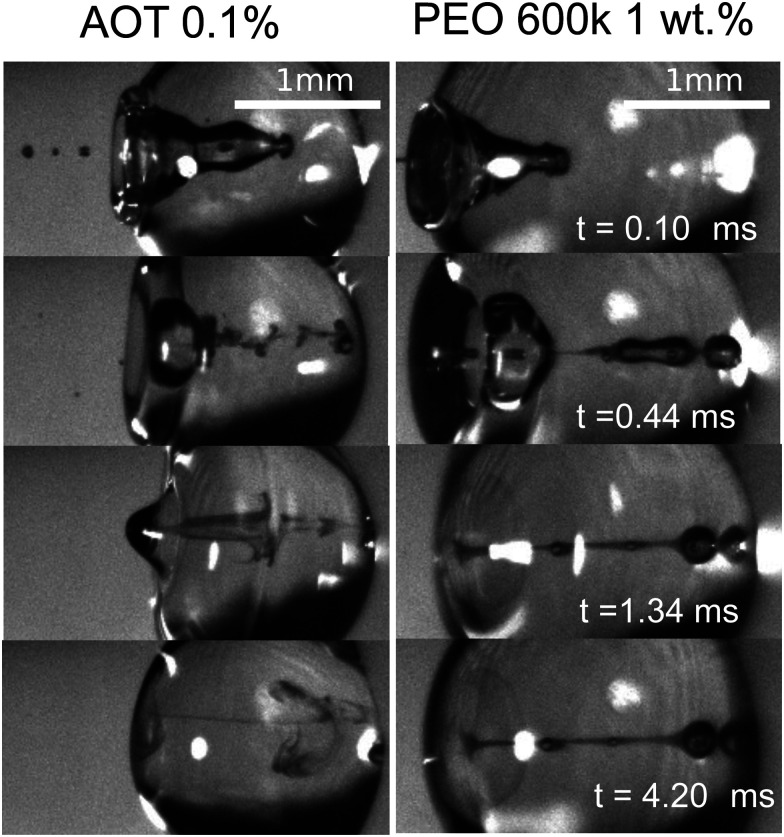 Fig. 9