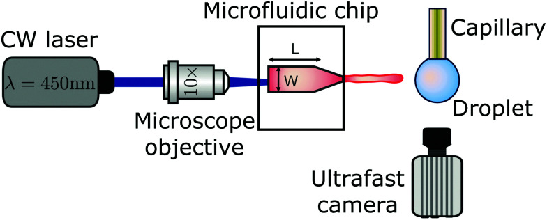 Fig. 2