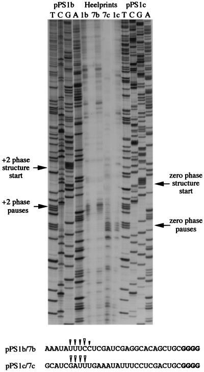 FIG. 9