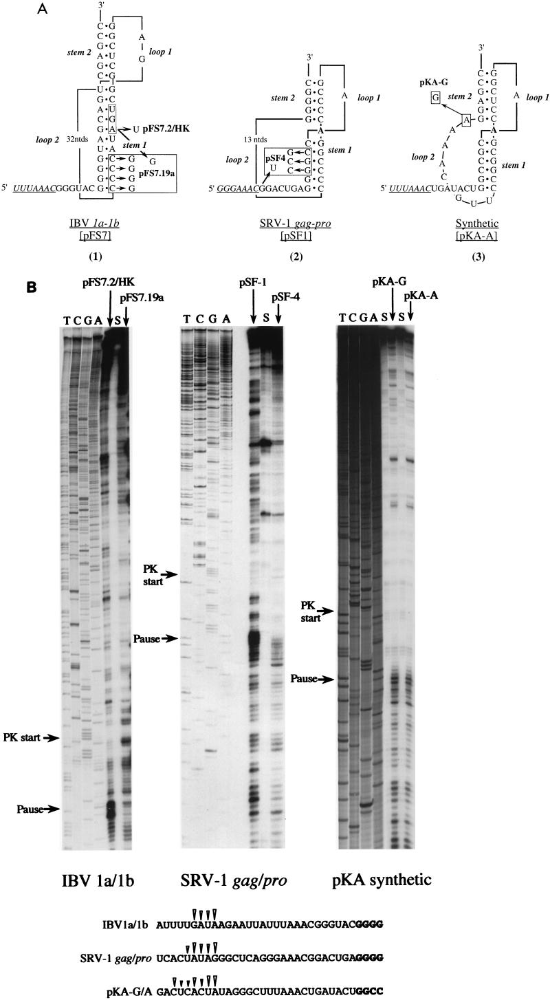 FIG. 4