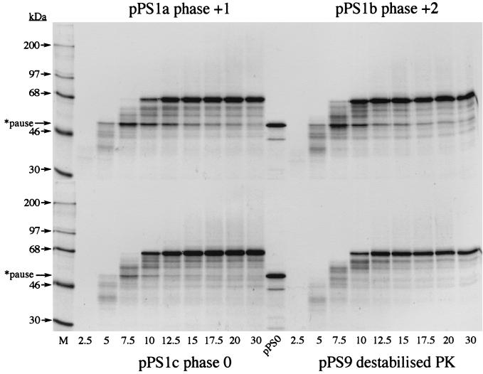 FIG. 7