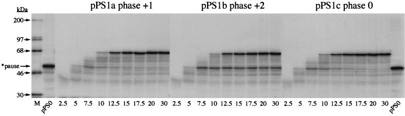 FIG. 10