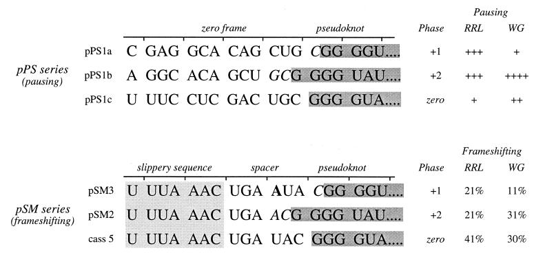 FIG. 6