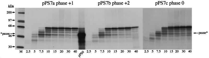 FIG. 8