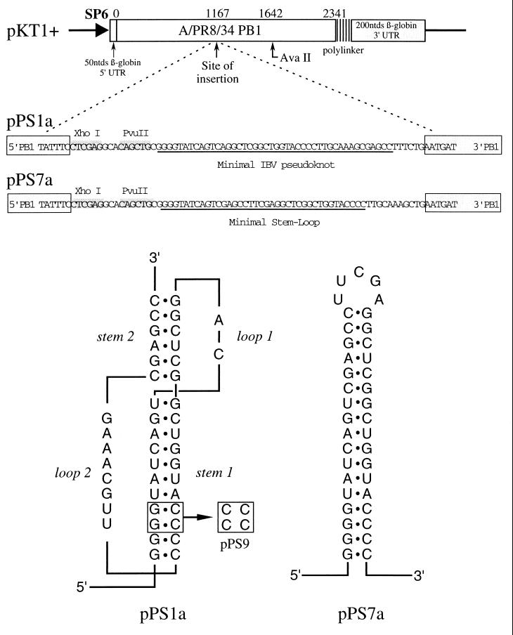 FIG. 1