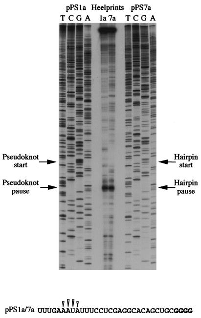 FIG. 5