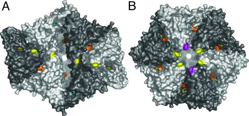 Fig. 4.