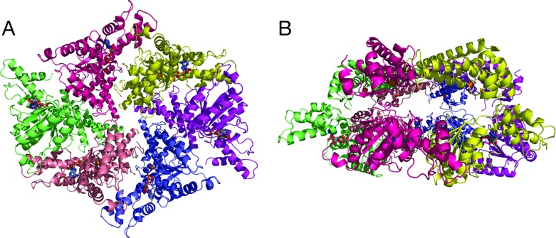 Fig. 2.