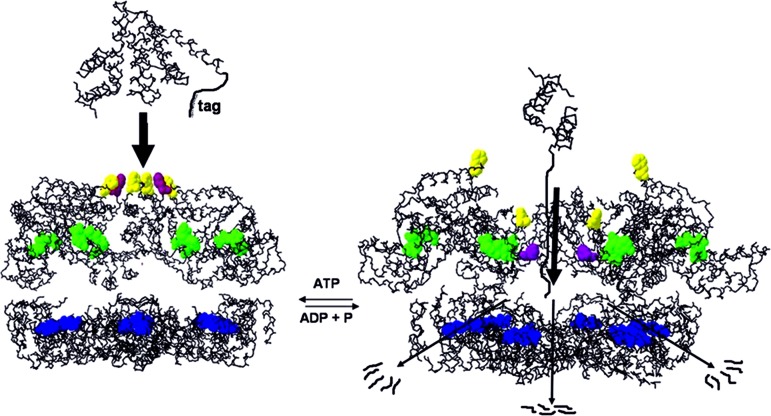 Fig. 5.