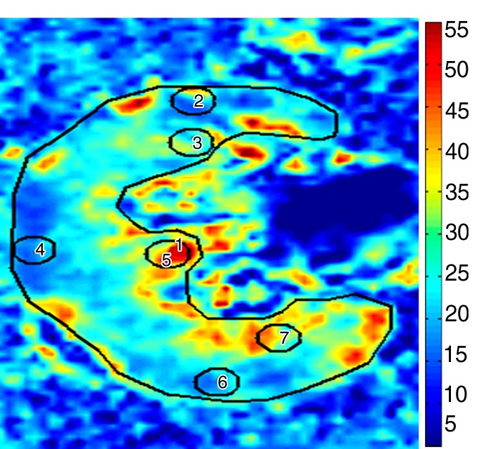 Figure 4b: