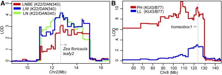 Figure 6.