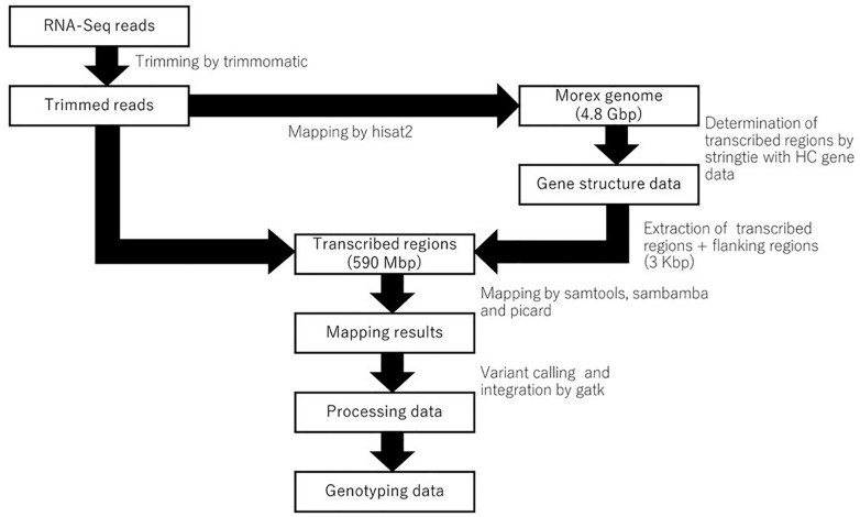 FIGURE 1