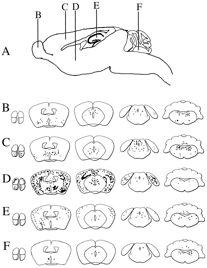 Fig. 5.