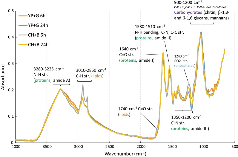 Fig. 3