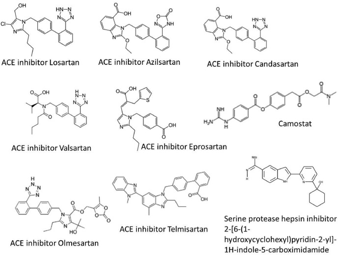 Fig. 7