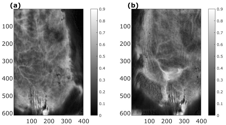 Figure 13