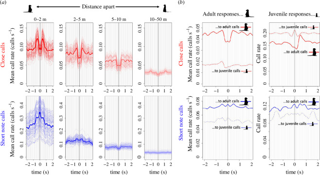 Call–response dynamics in space and time (a) and as a function of the individual age