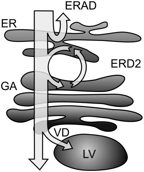 Figure 8.