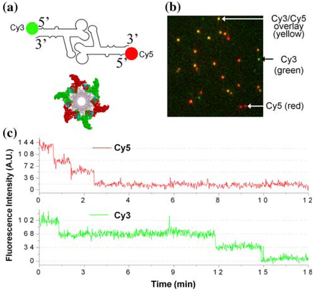 FIGURE 3