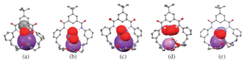 Fig. 25